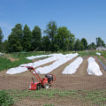 The Profitability of a 5 Acre Farm