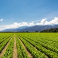 Why Investing in Organic Farming is Crucial for Our Future