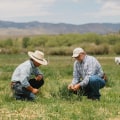 Exploring What Regenerative Ranching and Farming in Agriculture Is and Its Organic Benefits