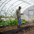 Commercial Farming Examples That Prove Organic Farming Is the Future