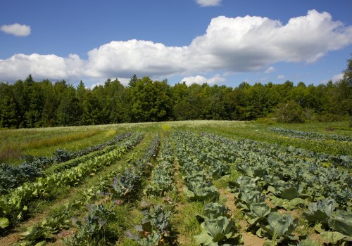 The Diverse Income Streams of Farmers