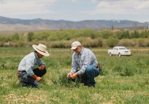 Exploring What Regenerative Ranching and Farming in Agriculture Is and Its Organic Benefits