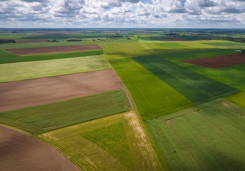 The Average Size of Farms in the United States