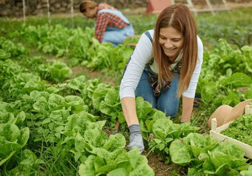 Maximizing Profits on a Farm: Innovative Ways to Earn Money