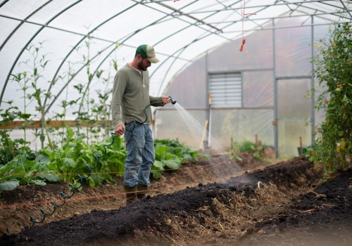 Commercial Farming Examples That Prove Organic Farming Is the Future