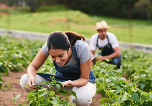 The Profit Potential of Small Farms: How Much Money Can You Really Make?