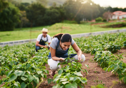 The Profitability of Small Farms: An Expert's Perspective